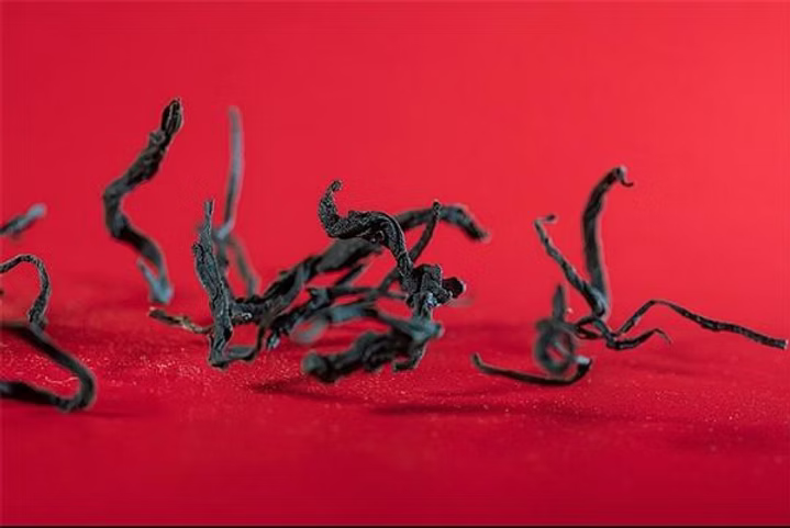 Fengqing And Dianhong: The Living History of Yunnan Black Tea