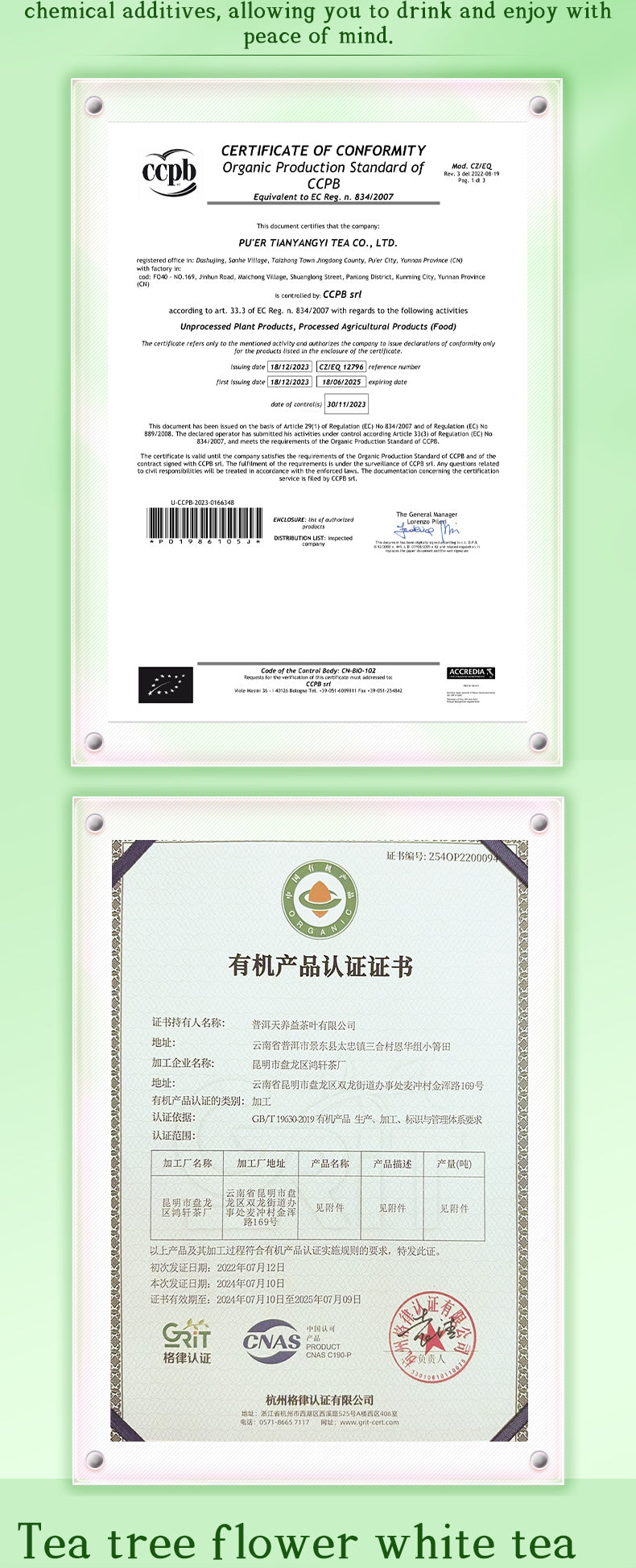 Certified Organic Floral Tea Gift Box