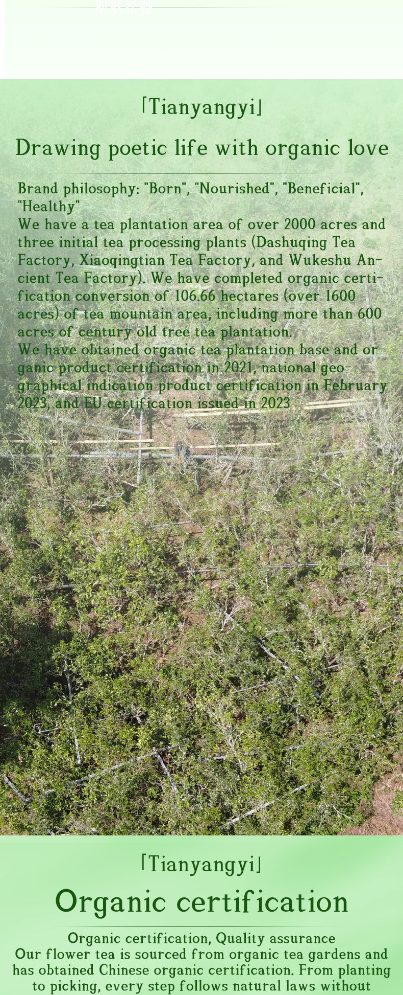 Certified Organic Floral Tea Gift Box