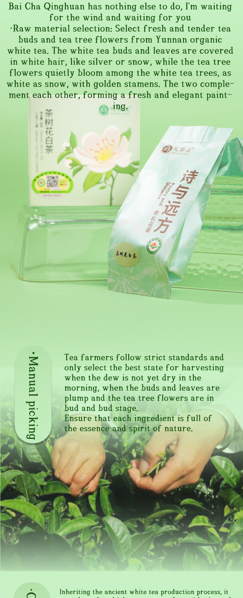 Certified Organic Floral Tea Gift Box