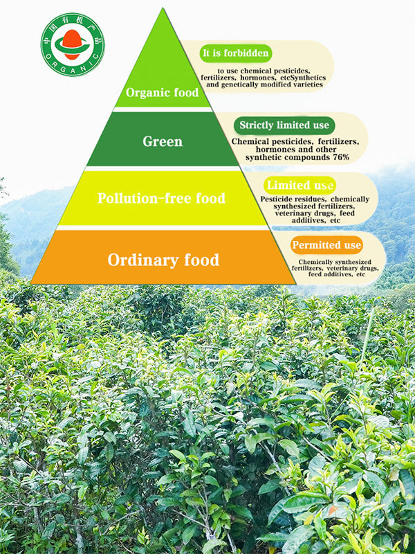 Certified Organic Yunnan Black Tea Mini Cake – Premium 100g Loose Leaf Compressed Tea